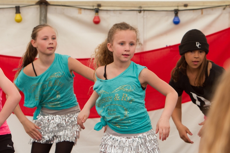 Koningsdag 2014 DC 084.jpg